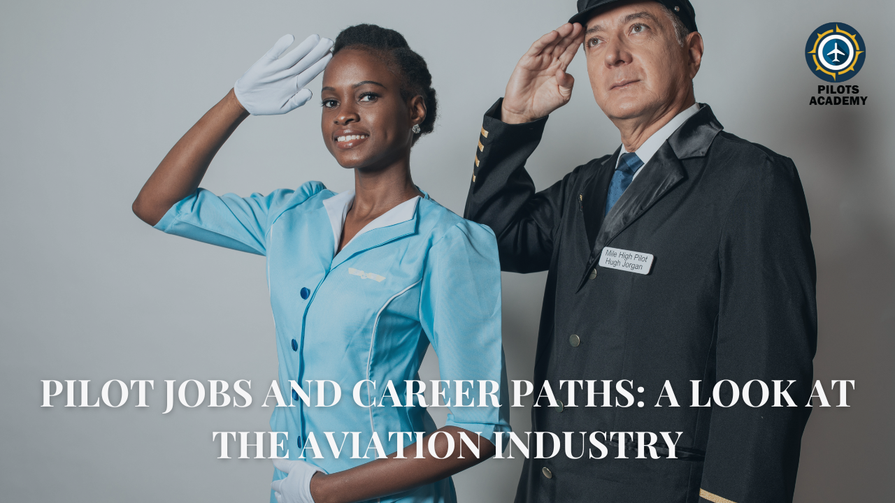 Pilot Jobs and Career Paths: A Look at the Aviation Industry